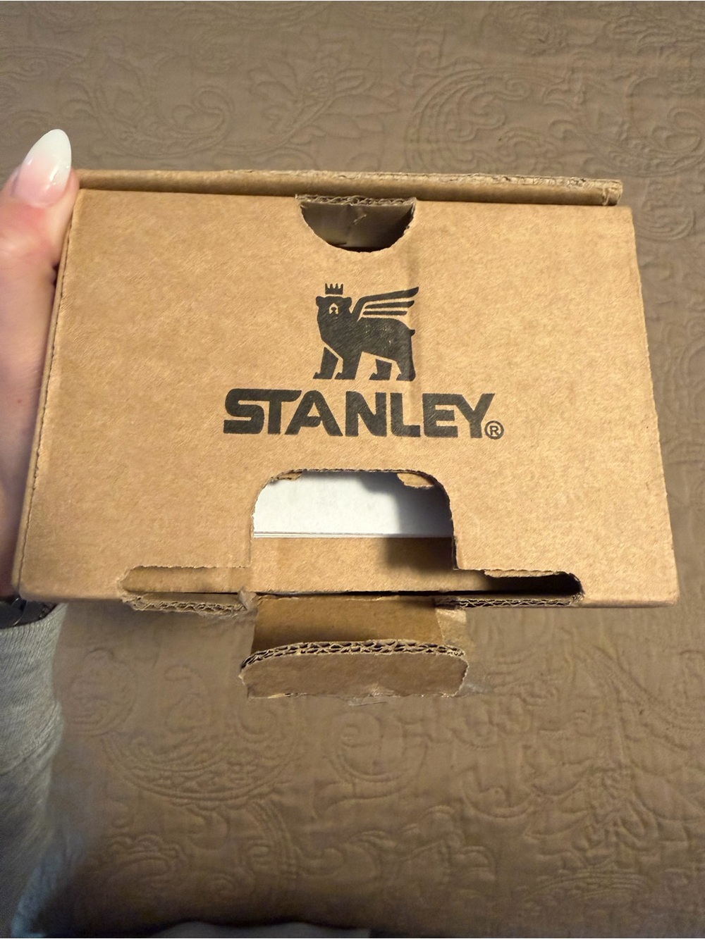 Red Louis Vuitton Stanley